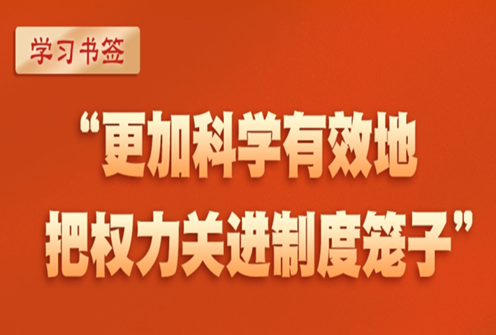 “更加科学有效地把权力关进制度笼子”