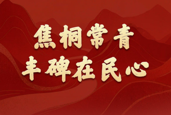 焦桐常青，丰碑在民心