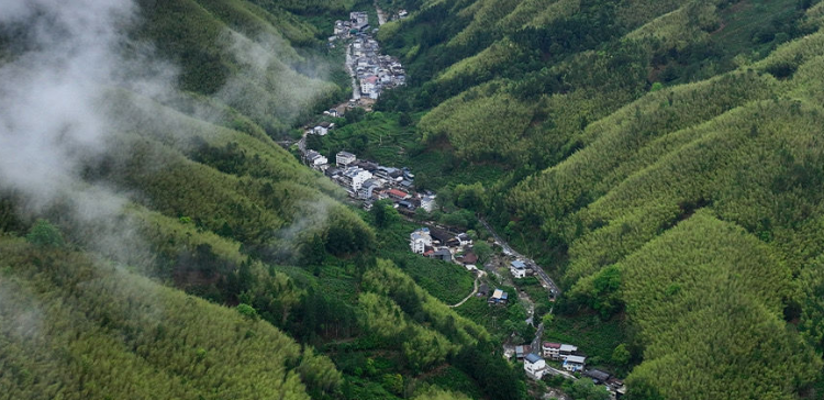 习近平生态文明思想引领生物多样性保护事业开创新局面