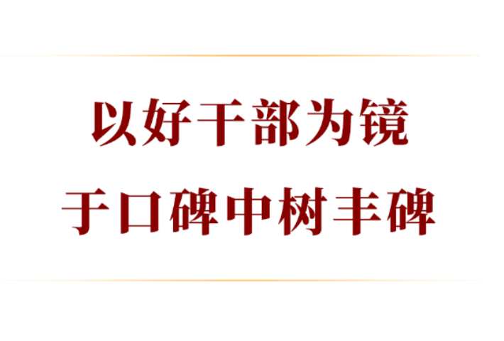 以好干部为镜，于口碑中树丰碑