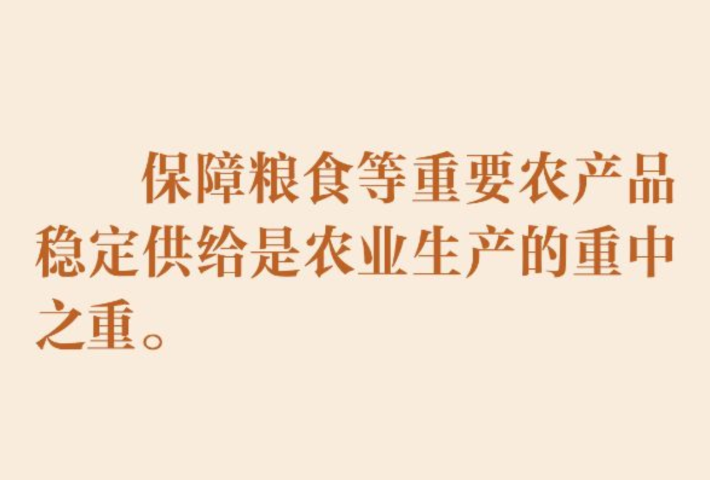 以扎实举措推进农业农村现代化
