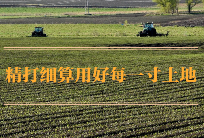 精打细算用好每一寸土地