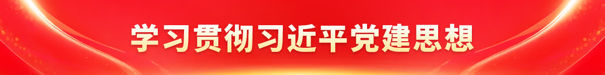 学习贯彻习近平党建思想