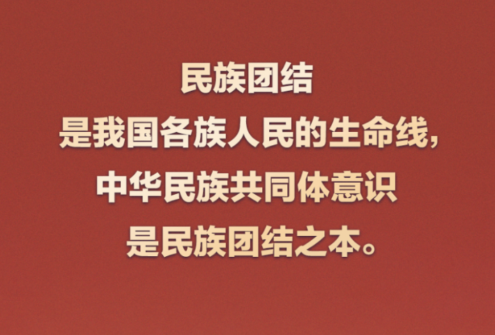 民族团结是我国各族人民的生命线，中华民族共同体意识是民族团结之本
