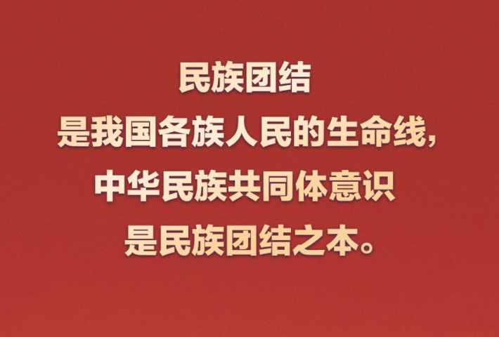 民族团结是我国各族人民的生命线，中华民族共同体意识是民族团结之本