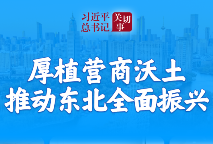 厚植营商沃土推动东北全面振兴