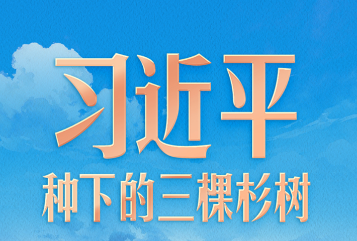 习近平种下的三棵杉树