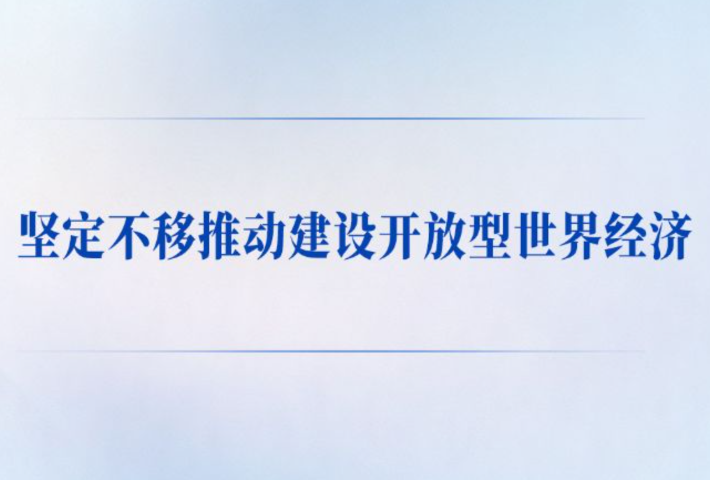 坚定不移推动建设开放型世界经济