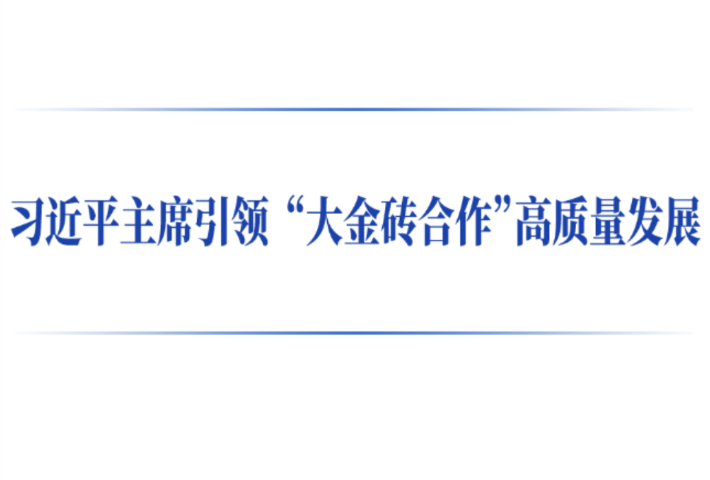 习近平主席引领“大金砖合作”高质量发展