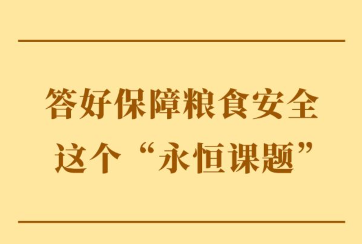 答好保障粮食安全这个“永恒课题”