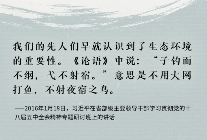 总书记用这些古语阐释自然之道