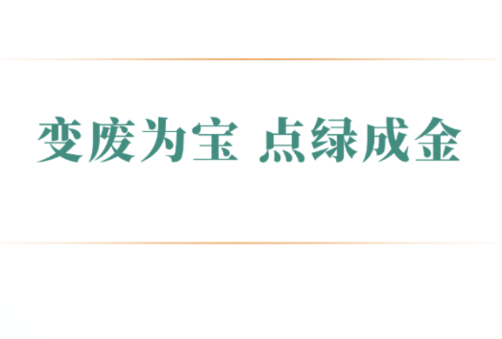 变废为宝 点绿成金