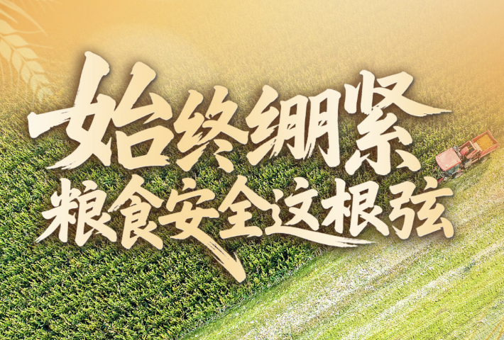 端牢中国饭碗 总书记这样阐释大国“粮”策