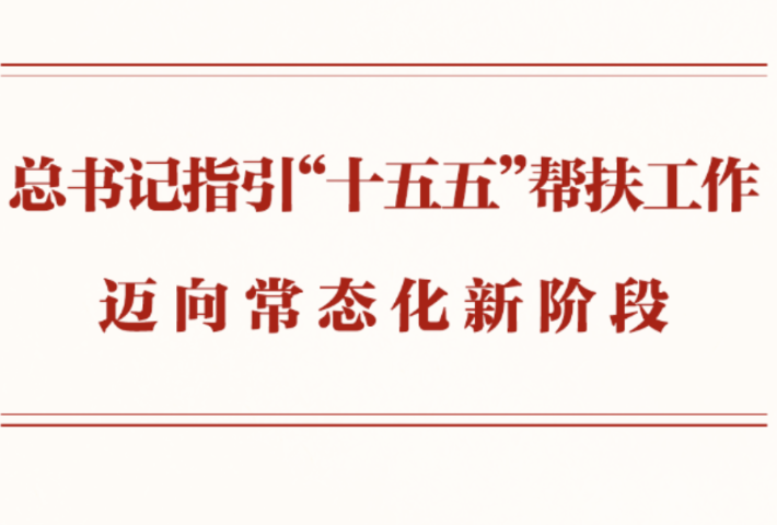 总书记指引“十五五”帮扶工作迈向常态化新阶段