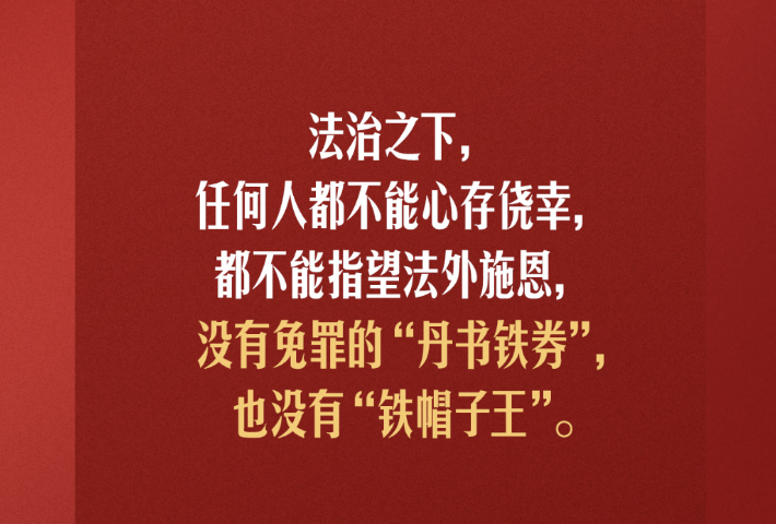 全面从严治党，总书记这些比喻深入人心